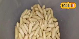 बेहद पॉवर फुल है यह चीज, काजू-बादाम भी इसके आगे फेल! शरीर में भर देता है ताकत, हड्डियों को बना देता है मजबूत – Uttar Pradesh News