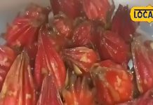 लाल फल से बनती है यह चटनी.. स्वाद ऐसा खाते रह जाएंगे आप! खाने में आएगा अलग ही मजा, यह है आसान विधि