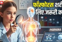 हड्डियों में सीमेंट का काम करता है फॉस्फोरस! क्या आप रोज ले रहे हैं यह मिनरल? ज्यादातर लोग इसे कर जाते अनदेखा