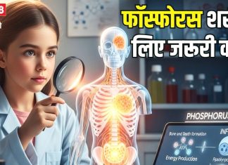 हड्डियों में सीमेंट का काम करता है फॉस्फोरस! क्या आप रोज ले रहे हैं यह मिनरल? ज्यादातर लोग इसे कर जाते अनदेखा