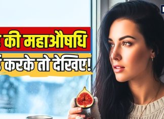 सर्दी में दिल का खास ख्याल रखता है अंजीर! शरीर को बनाता फिट और एनर्जेटिक, आयुर्वेद और विज्ञान दोनों से प्रमाणित