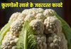 Health Benefits of cauliflower: फूलगोभी खाने के 5 जबरदस्त फायदे