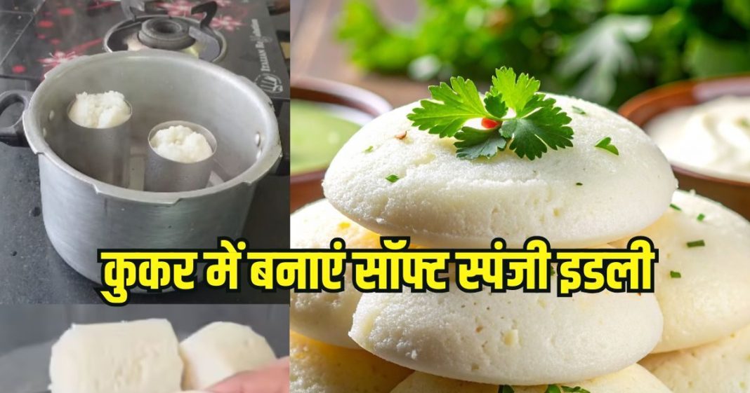 How to make Idli in pressure cooker and glass: स्टील की गिलास में एक साथ बनेगी 10 इडली, बेहद धांसू है तरीका