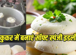 How to make Idli in pressure cooker and glass: स्टील की गिलास में एक साथ बनेगी 10 इडली, बेहद धांसू है तरीका
