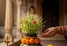 Tulsi Pujan Diwas 2025। तुलसी पूजन दिवस 2025