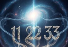 Master Number in Numerology। अंक ज्योतिष मास्टर नंबर