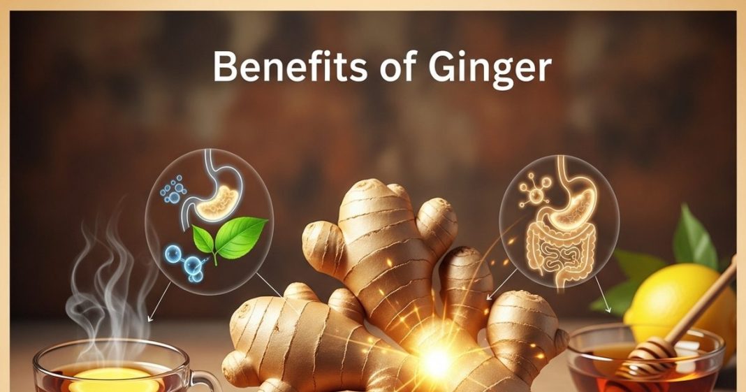 Benefits of Ginger : सर्दियों में 60 दिनों तक रोज अदरक का एक टुकड़ा चबाने के मिलते हैं ये 5 कमाल के फायदे!