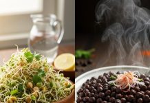 Sprouts vs Boiled Chana Which Is Better for Weight Loss Nutrition Guide Benefits Best Time to Eat qdps | स्प्राउट्स या उबला चना? वजन घटाने के लिए क्या बेहतर है!