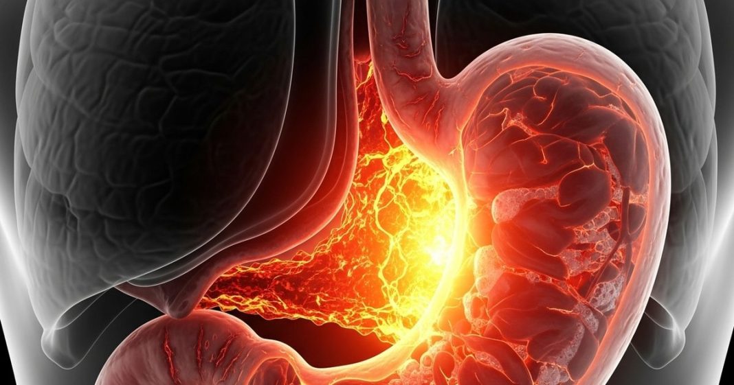 Ayurvedic remedies for digestion| पाचन तंत्र की गड़बड़ी से राहत के लिए आयुर्वेदिक उपाय