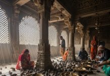 Karni Mata Temple। करणी माता मंदिर