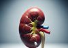 antibiotics is dangerous for kidney: एंटीबायोटिक्स का गलत इस्तेमाल किडनी और स्वास्थ्य के लिए खतरनाक है.