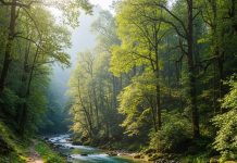 Mini Thailand of India। भारत का मिनी थाईलैंड