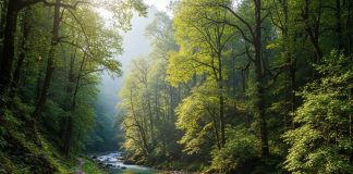 Mini Thailand of India। भारत का मिनी थाईलैंड