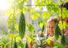 Grow Bitter Gourd at Home। घर पर करेला उगाने के टिप्स