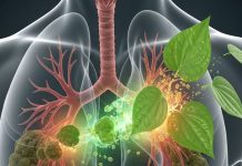 benefits of eating betel leaves after meal: ये 5रुपए का पत्ता सेहत के लिए वरदान, जानें खाने का सही तरीका