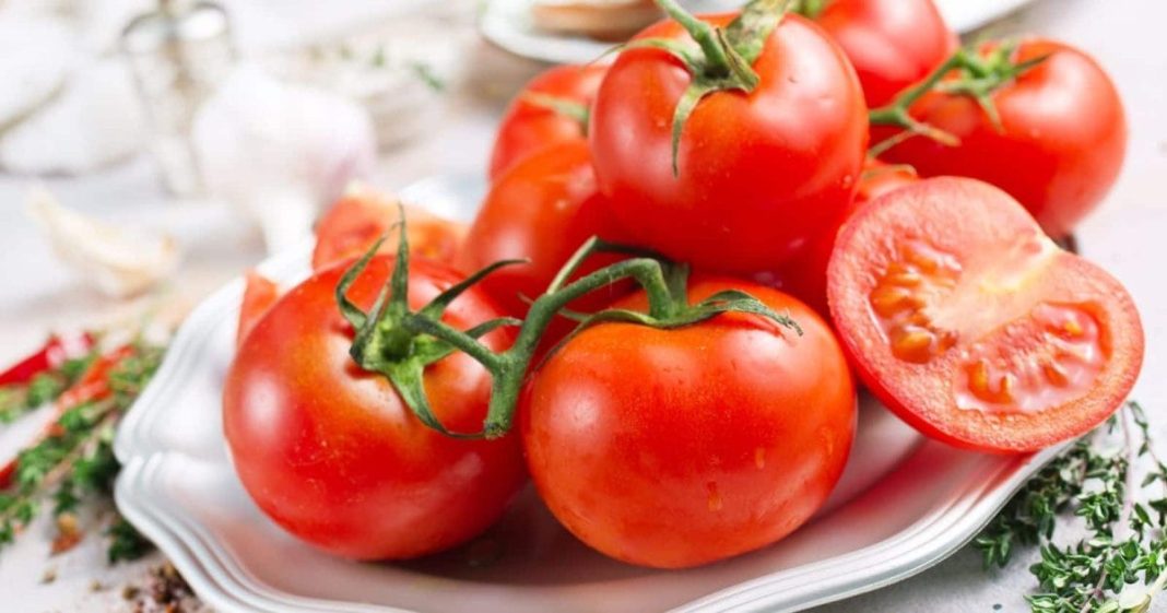 Health Care Tips : इन लोगों को किसी कीमत पर नहीं खाना चाहिए टमाटर, नहीं तो शरीर को कोई फायदा की जगह हो सकता है काफी नुकसान!