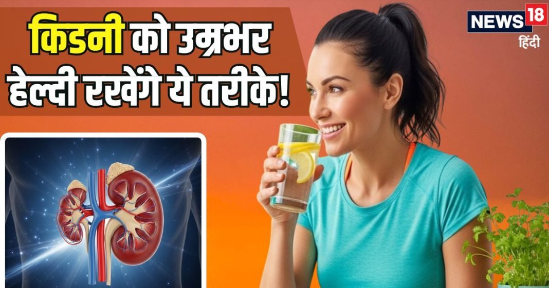 किडनी शरीर के सबसे जरूरी अंगों में से एक, बीमारियों से बचाए रखने के लिए अपनाएं ये आदतें, जीवनभर रहेंगी हेल्दी