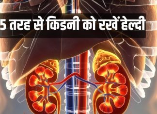How to keep kidney healthy in winter: सर्दियों में किडनी की सेहत नहीं होगी खराब, डेली करें ये 5 काम