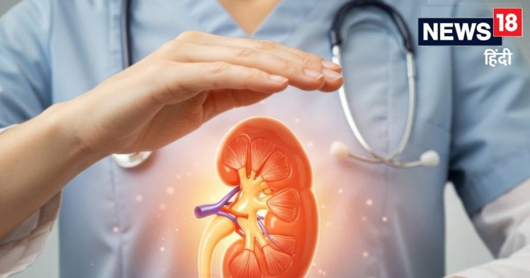 एम्स में किडनी ट्रांसप्लांट के कितना करना पड़ता है इंतजार? क्या आता है खर्च, डॉ. सेठ ने दिया हर सवाल का जवाब