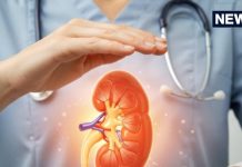 एम्स में किडनी ट्रांसप्लांट के कितना करना पड़ता है इंतजार? क्या आता है खर्च, डॉ. सेठ ने दिया हर सवाल का जवाब