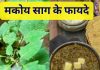 Makoy saag Health Benefits| सर्दियों में सेहत का देसी खजाना है मकोय का साग