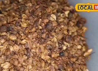 आयुर्वेद का अनमोल खजाना है ये बीज, शरीर और बालों के लिए चमत्कारी; तनाव, पाचन और गठिया में रामबाण