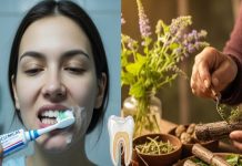 दंत मंजन की जगह इन पौधों का करें इस्तेमाल, दांत दर्द और हिलने में असरदार.. मसूड़ों की हर में बीमारी में रामबाण!