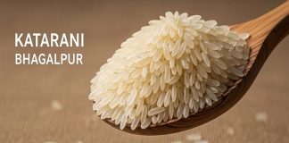 स्वाद का राजा है ये चावल! नरम और लाजवाब, इसकी खुशबू से महक उठता है पूरा घर