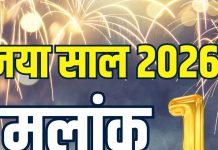 mulank 1 2026 horoscope kaisa rahega naya saal | new year 2025 ank jyotish prediction career property love life for number 1 | मूलांक 1 का नया साल 2026 कैसा होगा?