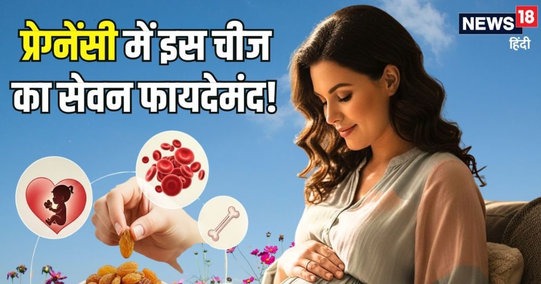 गर्भवती महिलाओं के लिए वरदान है यह ड्राईफ्रूट! मां और शिशु दोनों को देता है ताकत, जानिए इसके और भी फायदे