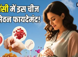 गर्भवती महिलाओं के लिए वरदान है यह ड्राईफ्रूट! मां और शिशु दोनों को देता है ताकत, जानिए इसके और भी फायदे