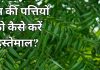 how to use neem leaves for health benefits: नीम के पत्तों के फायदे