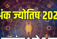 2026 ank jyotish rashifal mulank 1 se 9 tak | 2026 yearly numerology predictions for life path number 1 to 9 | वार्षिक अंक ज्योतिष 2026 मूलांक 1 से लेकर 9 तक का राशिफल