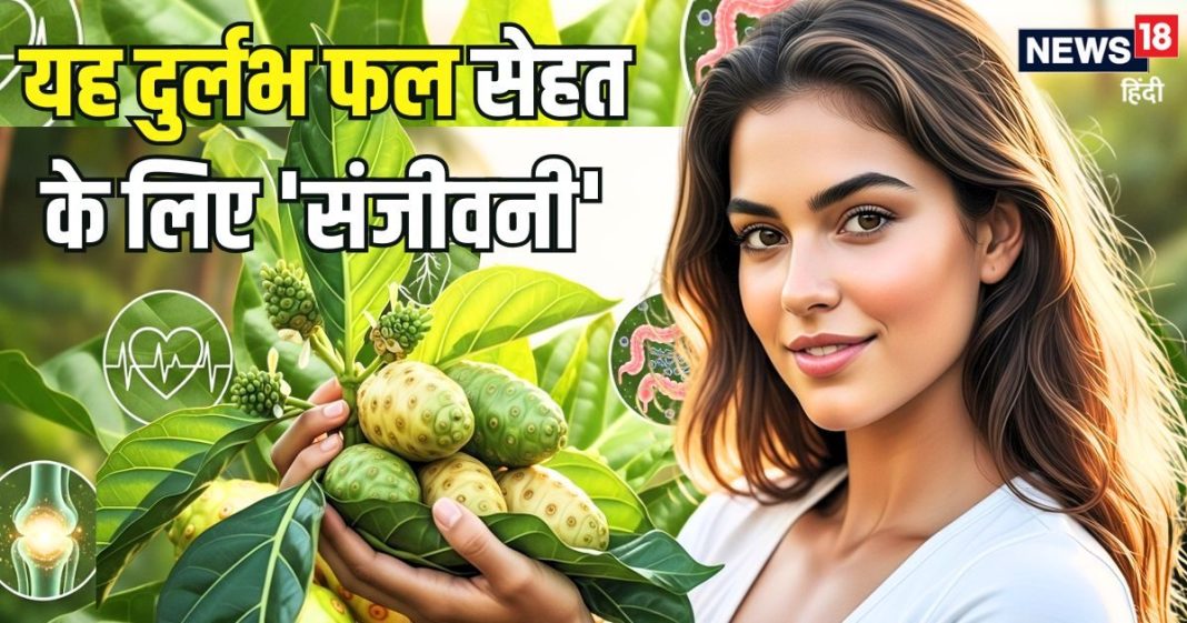 यह दुर्लभ फल सेहत के लिए ‘संजीवनी’, शुगर और कैंसर जैसी गंभीर बीमारियों में भी कारगर! जानिए इसके कई और फायदे