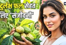 यह दुर्लभ फल सेहत के लिए ‘संजीवनी’, शुगर और कैंसर जैसी गंभीर बीमारियों में भी कारगर! जानिए इसके कई और फायदे