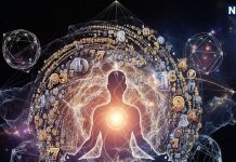 numerology date of birth can reveal success and failure Numerology will reveal secret | जन्मतिथि से जानें किस सेक्टर में खुलेंगे आपके भाग्य के दरवाजे और किन मामलों में बरतें सावधानी, अंक ज्योतिष खोलेगा राज