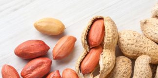 Benefits of eating peanuts in winter: सर्दियों में 1 दिन में कितनी मूंगफली खाएं, जानें इसकी तासीर और फायदे