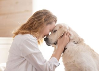 अपने पालतू कुत्ते को गलती से भी न खिलाएं ये चीजें, हो सकता है यह बड़ा नुकसान