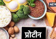 ओ भाई! मैदा-सूजी से प्रोटीन ने रहे भारतीय, नमक, तेल-चीनी की तो पूछिए ही मत, चौंका देगी CEEW की ये स्टडीindian people are taking protein maida-sooji and grains ceew study reveals protein inequality and salt sugar oil high consumption in Indian diet