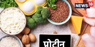 ओ भाई! मैदा-सूजी से प्रोटीन ने रहे भारतीय, नमक, तेल-चीनी की तो पूछिए ही मत, चौंका देगी CEEW की ये स्टडीindian people are taking protein maida-sooji and grains ceew study reveals protein inequality and salt sugar oil high consumption in Indian diet