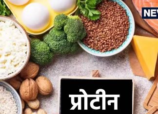 ओ भाई! मैदा-सूजी से प्रोटीन ने रहे भारतीय, नमक, तेल-चीनी की तो पूछिए ही मत, चौंका देगी CEEW की ये स्टडीindian people are taking protein maida-sooji and grains ceew study reveals protein inequality and salt sugar oil high consumption in Indian diet