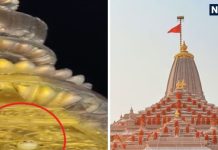 most talked about religious events in 2025 dharmik events were in spotlight in this year | कहीं मंदिर के शिखर पर चीलों ने डाला डेरा तो कहीं नजर आया सफेद उल्लू, साल 2025 में चर्चा में रहे ये धार्मिक स्थल