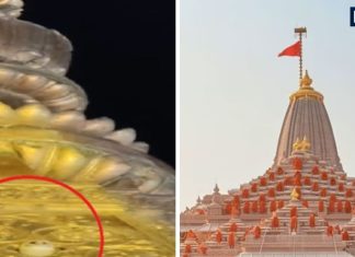 most talked about religious events in 2025 dharmik events were in spotlight in this year | कहीं मंदिर के शिखर पर चीलों ने डाला डेरा तो कहीं नजर आया सफेद उल्लू, साल 2025 में चर्चा में रहे ये धार्मिक स्थल