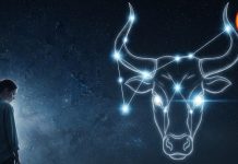 today horoscope taurus aaj ka vrishabh rashifal love career business Control your speech, वृषभ राशि वाले आज भूलकर भी ना करें ये काम, वरना पीछे पड़ जाएगी आफत!