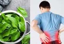 Does Spinach Cause Kidney Stones Dietitian Reveals Truth | क्या पालक खाने से बन जाता है किडनी स्टोन