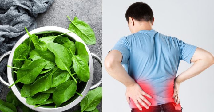spinach-and-kidney-stone-2025-12-822567b040a6fb8c6e41a37c9476cbb4-16x9.jpg
