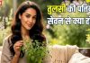 health Benefits of Tulsi leaves | रोज तुलसी का सेवन करना अमृत समान क्यों? हैरत में डाल देंगे इसके 5 बड़े फायदे, जानिए इस्तेमाल का सही तरीका