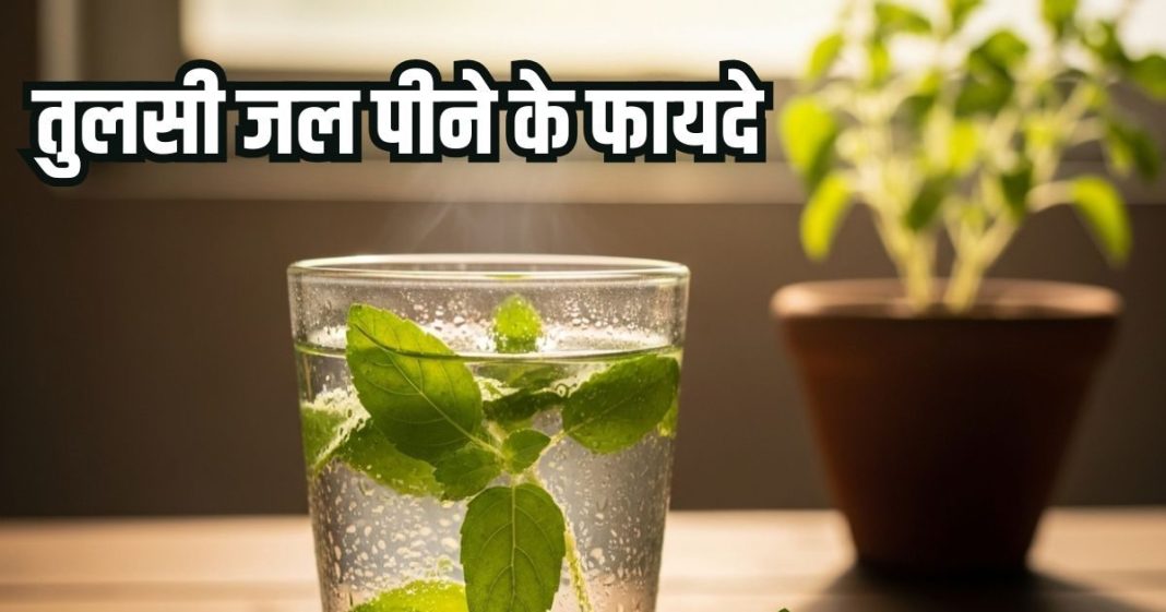 Tulsi ka pani peene ke fayde: सेहत के लिए अमृत समान तुलसी जल, जानिए फायदे