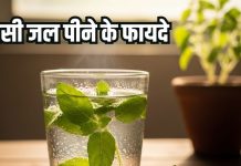 Tulsi ka pani peene ke fayde: सेहत के लिए अमृत समान तुलसी जल, जानिए फायदे