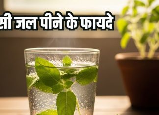 Tulsi ka pani peene ke fayde: सेहत के लिए अमृत समान तुलसी जल, जानिए फायदे